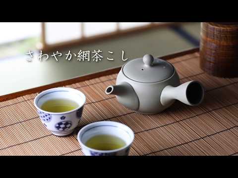 (常滑焼) 山布花瓶形黃雀粉紅櫻花茶壺